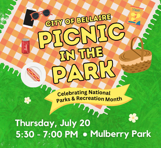 Picnic in the Park - Boat Regatta Newsflash (1)